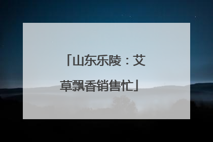 山东乐陵：艾草飘香销售忙
