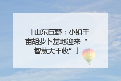 山东巨野：小镇千亩胡萝卜基地迎来“智慧大丰收”