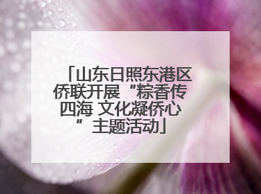 山东日照东港区侨联开展“粽香传四海 文化凝侨心”主题活动