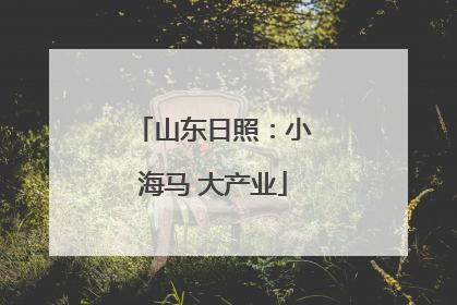 山东日照：小海马 大产业