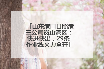山东港口日照港三公司岚山港区：快进快出，29条作业线火力全开