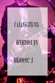 山东青岛：初夏时节插秧忙