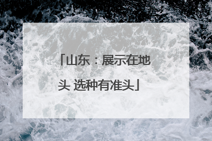 山东：展示在地头 选种有准头
