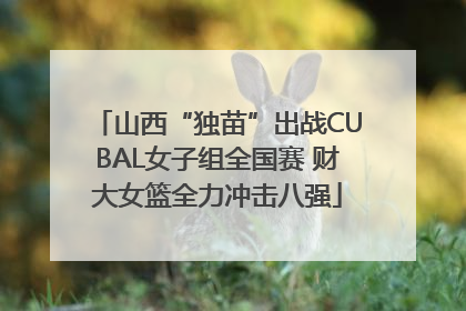 山西“独苗”出战CUBAL女子组全国赛 财大女篮全力冲击八强