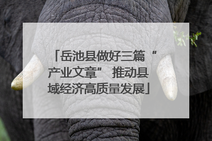岳池县做好三篇“产业文章” 推动县域经济高质量发展