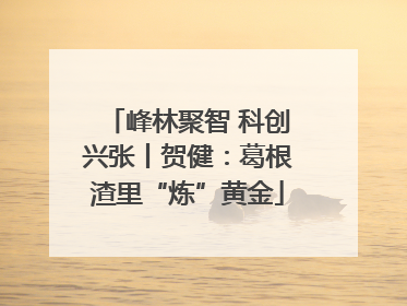 峰林聚智 科创兴张丨贺健：葛根渣里“炼”黄金