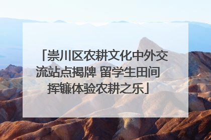 崇川区农耕文化中外交流站点揭牌 留学生田间挥镰体验农耕之乐