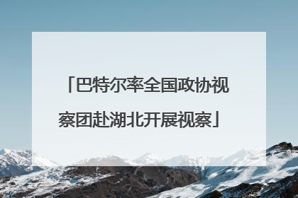 巴特尔率全国政协视察团赴湖北开展视察