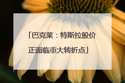 巴克莱：特斯拉股价正面临重大转折点