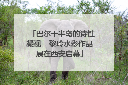 巴尔干半岛的诗性凝视—黎玲水彩作品展在西安启幕