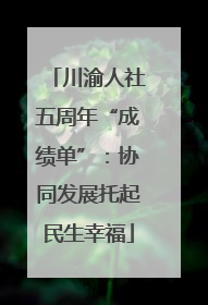 川渝人社五周年“成绩单”：协同发展托起民生幸福
