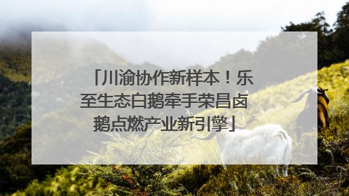 川渝协作新样本！乐至生态白鹅牵手荣昌卤鹅点燃产业新引擎