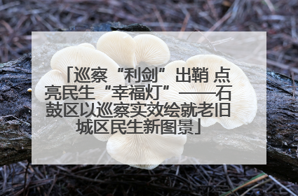 巡察“利剑”出鞘 点亮民生“幸福灯”——石鼓区以巡察实效绘就老旧城区民生新图景