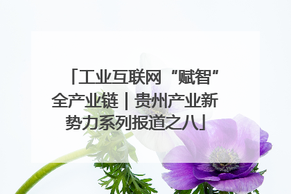 工业互联网“赋智”全产业链｜贵州产业新势力系列报道之八