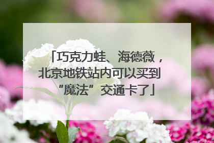 巧克力蛙、海德薇，北京地铁站内可以买到“魔法”交通卡了