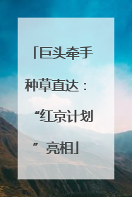 巨头牵手种草直达：“红京计划”亮相