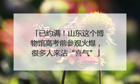 已约满！山东这个博物馆高考前参观火爆，很多人来沾“喜气”