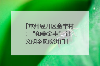 常州经开区金丰村：“和美金丰” 让文明乡风吹进门