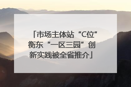 市场主体站“C位” 衡东“一区三园”创新实践被全省推介