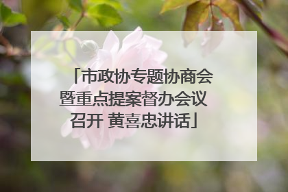 市政协专题协商会暨重点提案督办会议召开 黄喜忠讲话