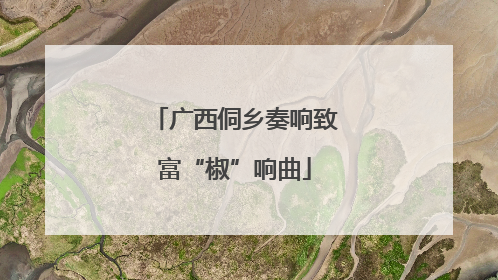 广西侗乡奏响致富“椒”响曲