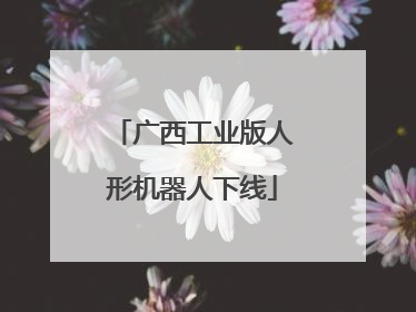 广西工业版人形机器人下线
