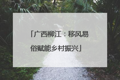广西柳江：移风易俗赋能乡村振兴