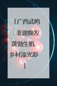 广西武鸣：非遗焕发蓬勃生机 乡村添光彩