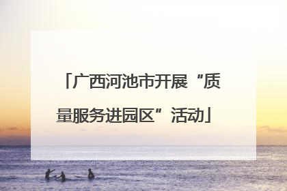广西河池市开展“质量服务进园区”活动