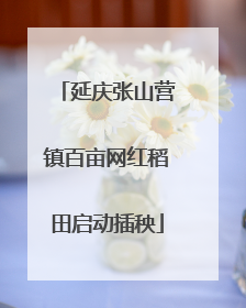 延庆张山营镇百亩网红稻田启动插秧