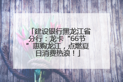 建设银行黑龙江省分行：龙卡“66节”惠购龙江，点燃夏日消费热浪！
