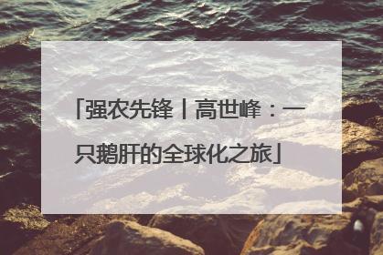 强农先锋丨高世峰：一只鹅肝的全球化之旅