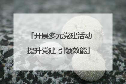 开展多元党建活动 提升党建 引领效能