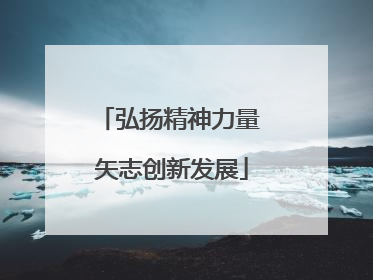 弘扬精神力量 矢志创新发展