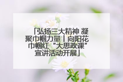 弘扬三大精神 凝聚巾帼力量丨向阳花巾帼红“大思政课”宣讲活动开展