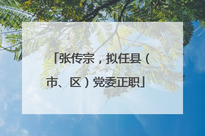 张传宗，拟任县（市、区）党委正职