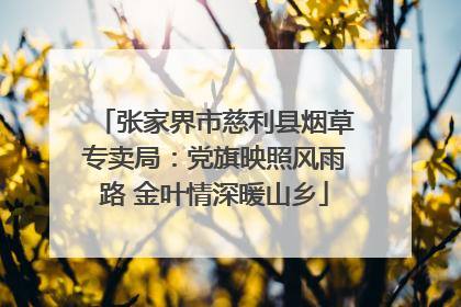 张家界市慈利县烟草专卖局：党旗映照风雨路 金叶情深暖山乡