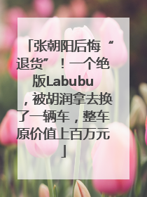 张朝阳后悔“退货”！一个绝版Labubu，被胡润拿去换了一辆车，整车原价值上百万元