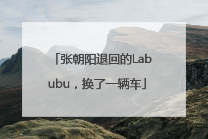 张朝阳退回的Labubu，换了一辆车