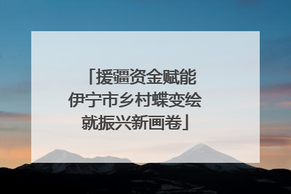 援疆资金赋能 伊宁市乡村蝶变绘就振兴新画卷