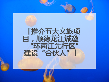 推介五大文旅项目，顺德龙江诚邀“环两江先行区”建设“合伙人”