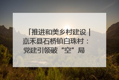 推进和美乡村建设｜嘉禾县石桥镇白珠村：党建引领破“空”局 乡贤聚力绘就新图景