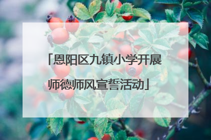 恩阳区九镇小学开展师德师风宣誓活动
