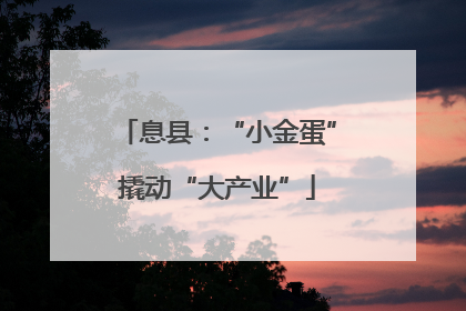 息县：“小金蛋”撬动“大产业”