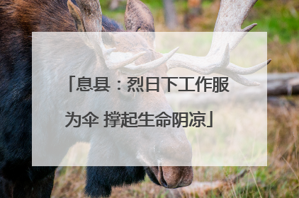息县：烈日下工作服为伞 撑起生命阴凉