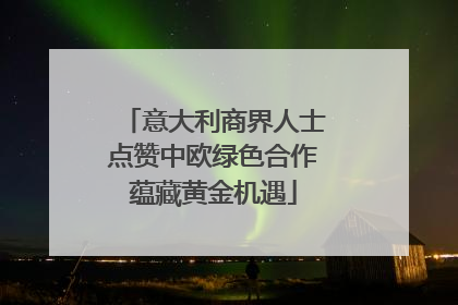 意大利商界人士点赞中欧绿色合作蕴藏黄金机遇