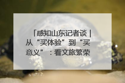 感知山东记者谈｜从“买体验”到“买意义”：看文旅繁荣背后的幸福新定义