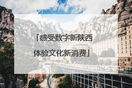 感受数字新陕西 体验文化新消费