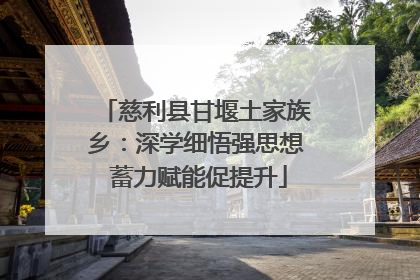 慈利县甘堰土家族乡：深学细悟强思想 蓄力赋能促提升