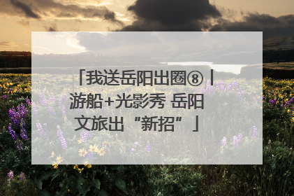 我送岳阳出圈⑧丨游船+光影秀 岳阳文旅出“新招”